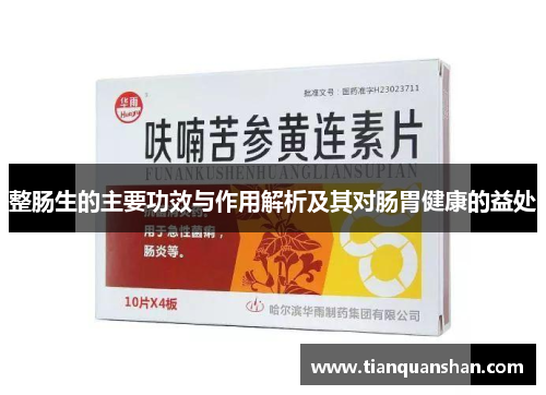 整肠生的主要功效与作用解析及其对肠胃健康的益处